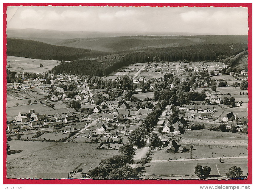 3 Foto-AK ´Polle + Neuhaus Im Solling' (LK Holzminden) ~ 1954 - Holzminden