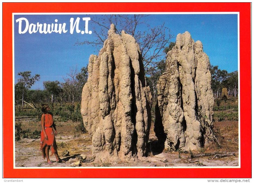 Giant Termite Or Ant Hills, Darwin, Northern Territory - Nucolorvue NCV 5024Unused - Darwin