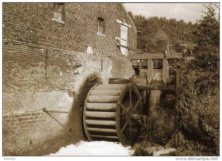 TERNAT (Vlaams-Brabant) - Molen/moulin - Historische Opname Van De Molen Van Opalfene In 1977. Prentkaart In Sepiabruin. - Ternat