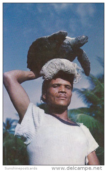 Fisherman Carrying Hawk's Bill Turtle At Balandra Trinidad &amp; Tobago - Trinidad