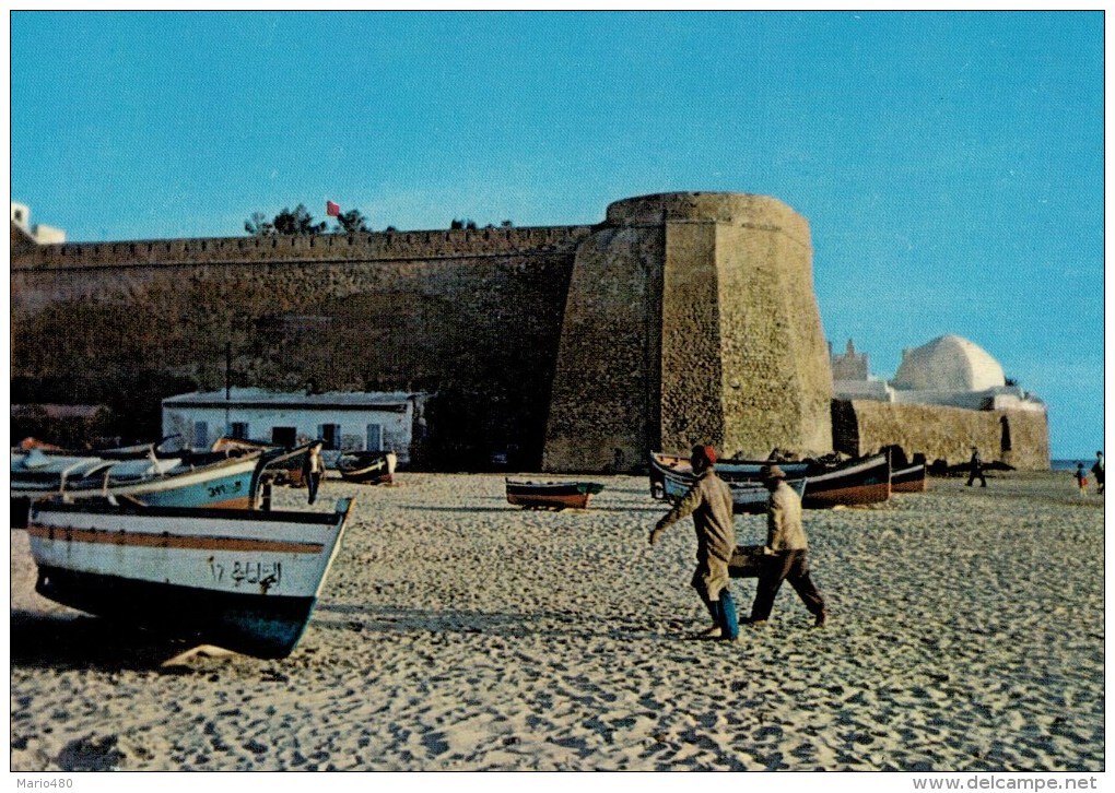 HAMMAMET    LA   FORTERESSE        (NUOVA) - Tunisie