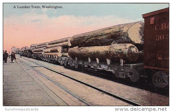 A Lumber Train Tacoma Washington 1914 - Tacoma