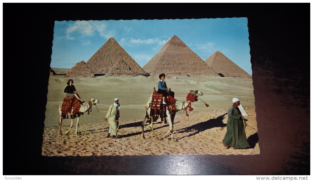 C-42910 TOURIST CAMELRIDE NEAR THE GIZA PYRAMIDS - Gizeh