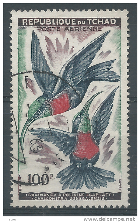 Chad, Bird, Scarlet-chested Sunbird (Chalcomitra Senegalensis), 1961, VFU AIRMAIL - Ciad (1960-...)