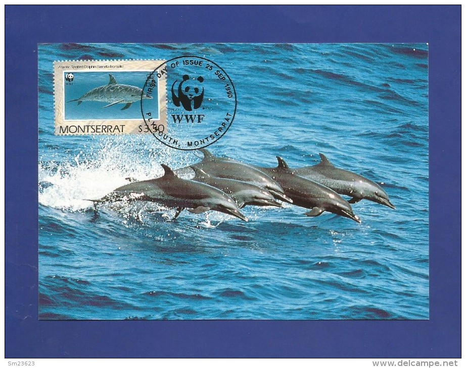 Montserrat 1990  Mi.Nr. 789 , Dolphin - WWF Official  Maximum Card - First Day  25. Sep.1990 - Montserrat