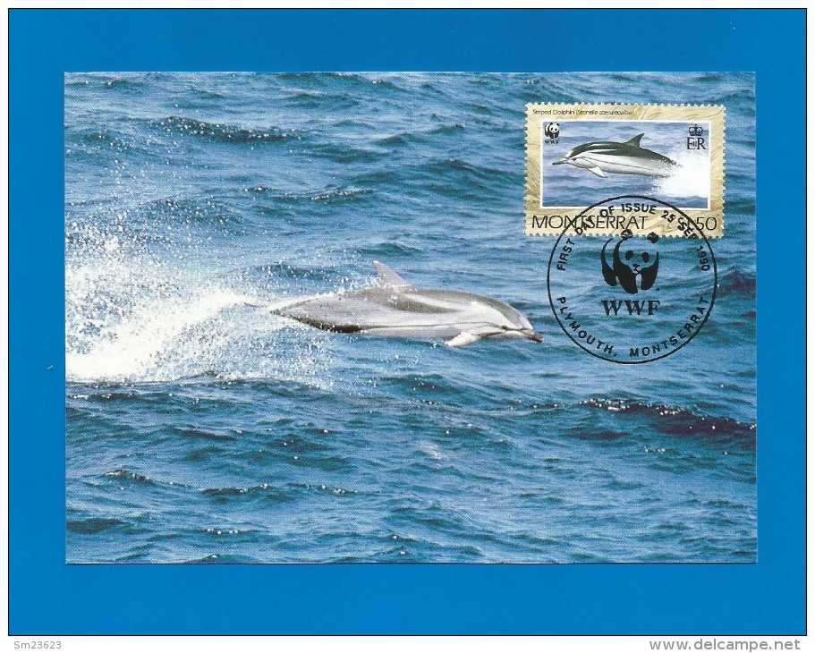 Montserrat 1990  Mi.Nr. 788 , Dolphin - WWF - Maximum Card - First Day  25. Sep.1990 - Montserrat