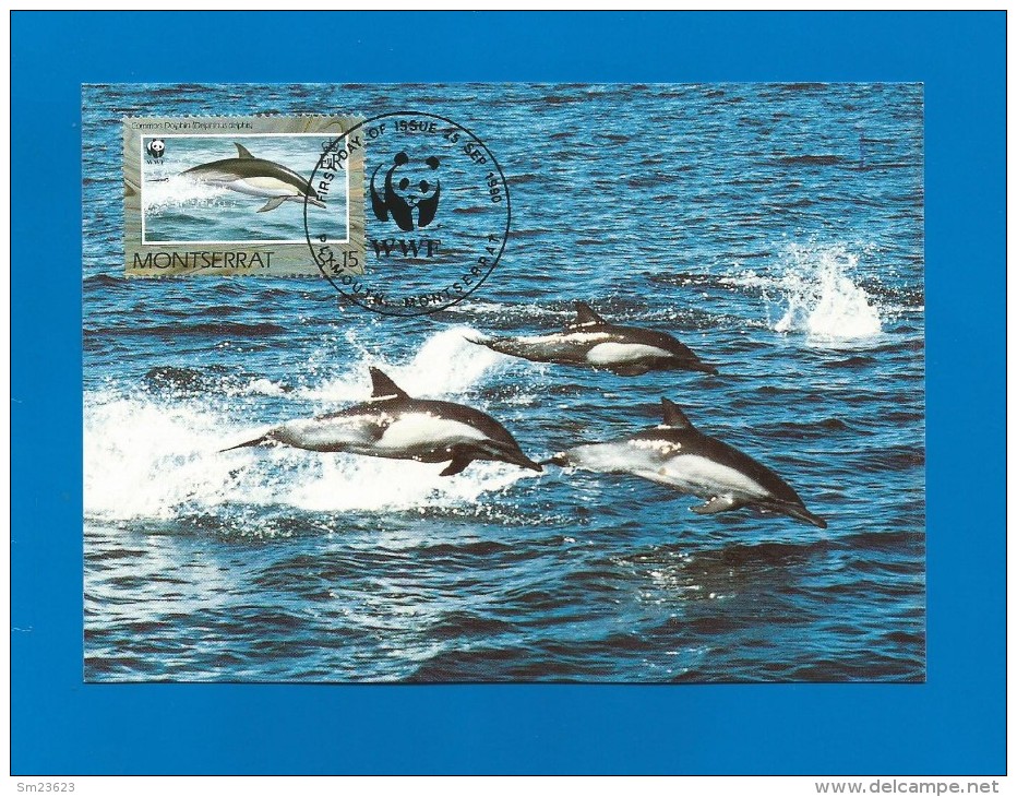 Montserrat 1990  Mi.Nr. 787 , Dolphin - WWF - Maximum Card - First Day  25. Sep.1990 - Montserrat