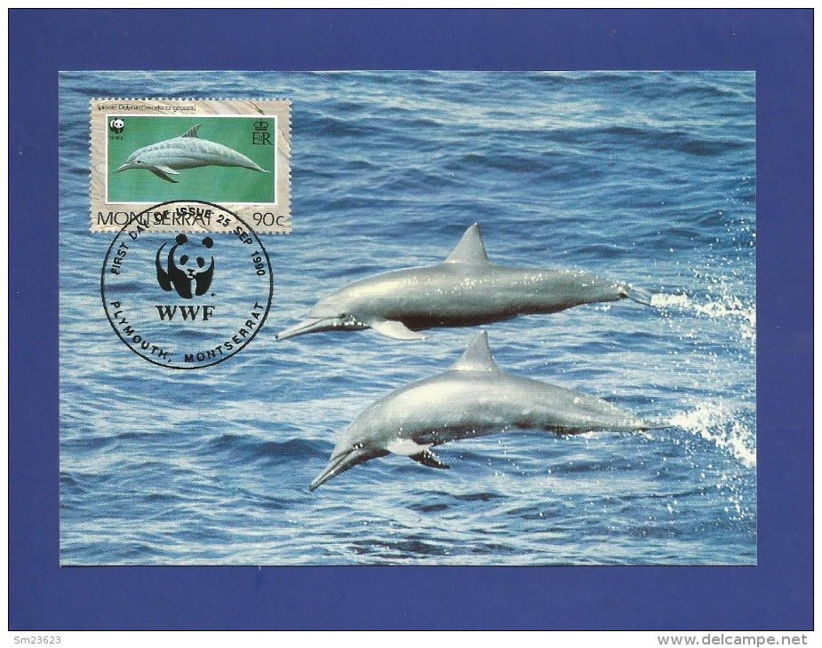 Montserrat 1990  Mi.Nr. 786 , Dolphin - WWF - Maximum Card - First Day  25. Sep.1990 - Montserrat