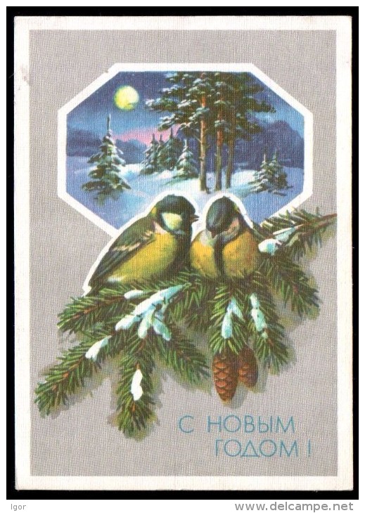 Russia USSR 1990 Stationery Pc Birds: Titmouse On Winter Year Tree - Autres & Non Classés