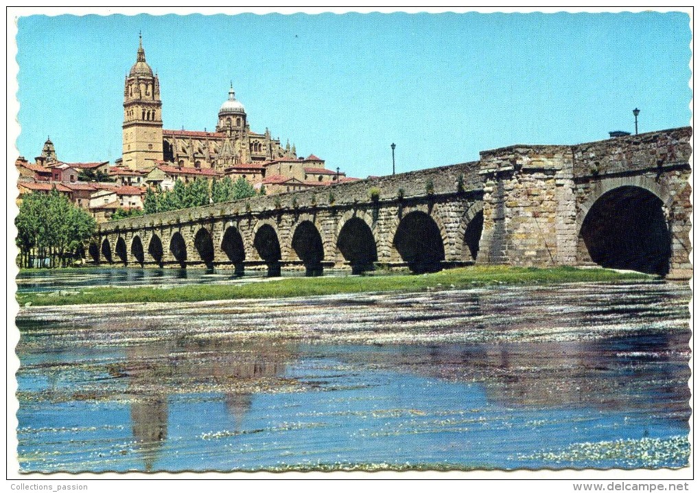 Cp , ESPAGNE ,  SALAMANCA , Puente De Transito Sobre El Rio Tormes , Pont Sur Le TORMES , Voyagée 1969 - Salamanca