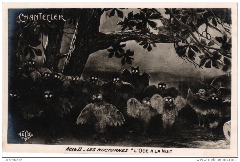 10 Postcards Serie Chantecler - Photocards Redesigned On Photo Negative -Edmond Rostand - E.L.D.  Rooster Scarecrow Owls - Opéra