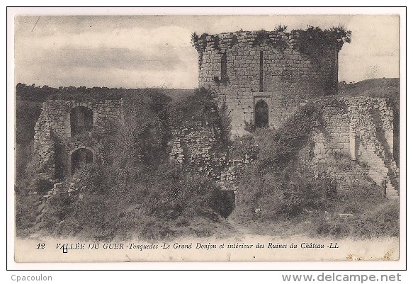 Vallée Du Guer- Tonquedec - Le Grand Donjon Et Intérieur Des Ruines Du Château [12699T22] - Tonquédec