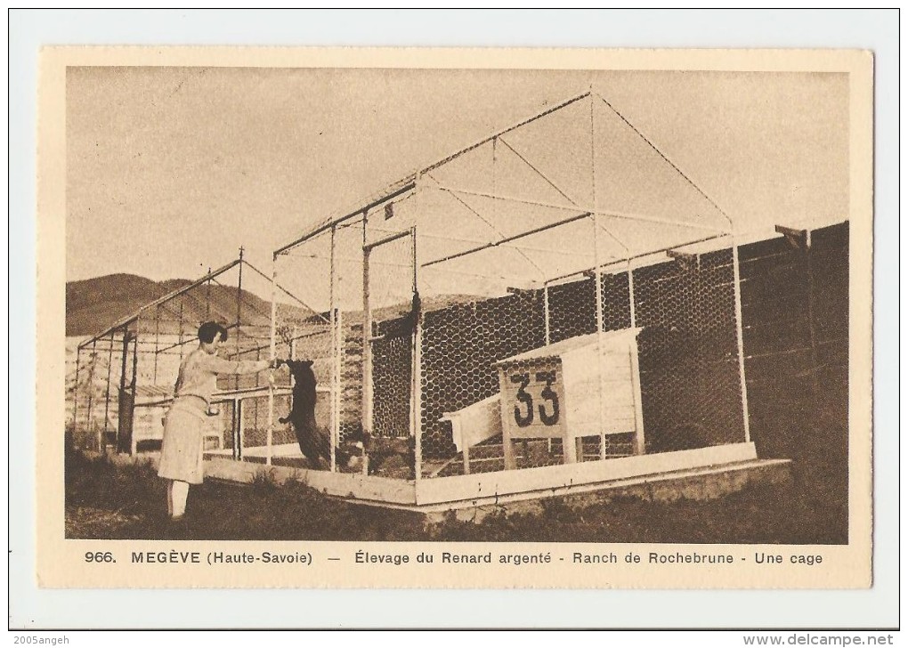 74 Dép.- 966. Megève (Haute-Savoie) - Elevage Du Renard Argenté - Ranch De Rochebrune - Une Cage. L. Morand, Phot.-édit. - Megève