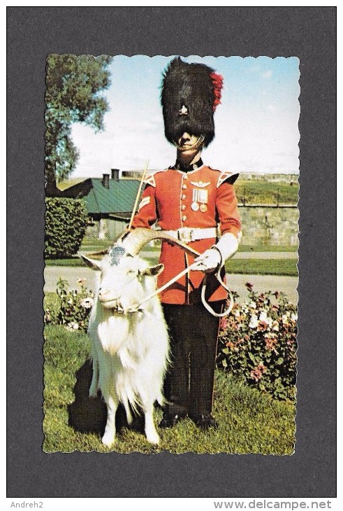 QUÉBEC - ROYAL 22e RÉGIMENT - LE CAPORAL ATTIRÉ À LA GARDE DE BAPTISTE LA MASCOTTE DU 22e RÉGIMENT À LA CITADELLE - Québec - La Citadelle