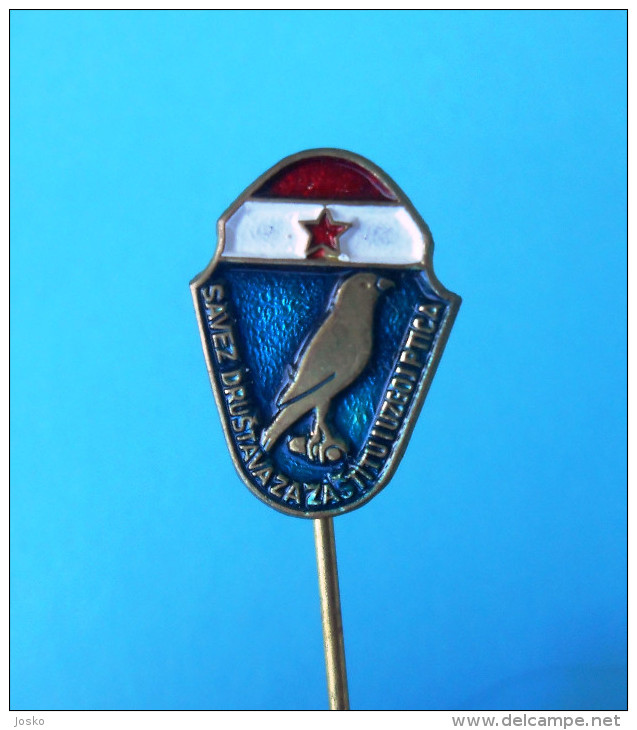 Sociedad Para La Protección De Las Aves ( Croacia Pin ) Badge Bird Oiseau Vogel Pajaro Ave Uccello Anstecknadel - Animales