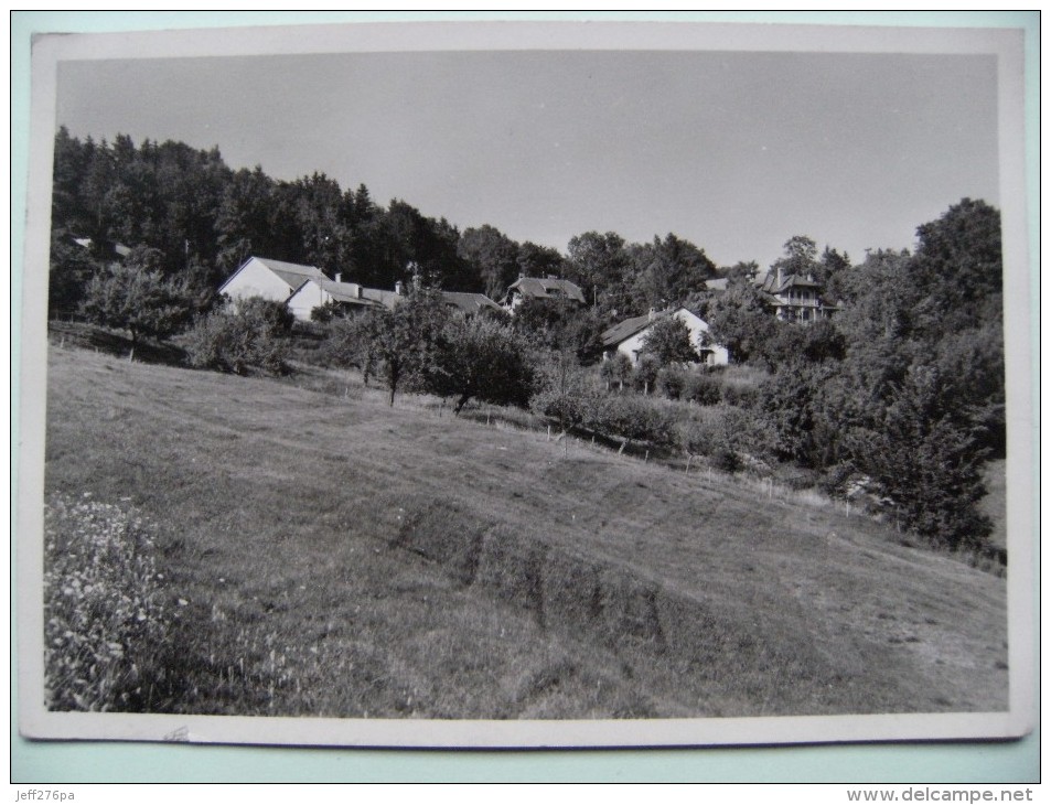 CPSM Châtel - Essertines S.Rolle Les Charmilles Et Alentour - Vue D'ensemble   A Voir ! - Essertines-sur-Rolle