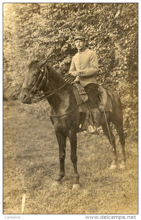 Carte-Photo Cavalier Militaire Du 10è - Régiments