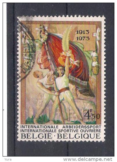 Belgium 1973   Mi Nr 1726    (a1p16) - Gebruikt