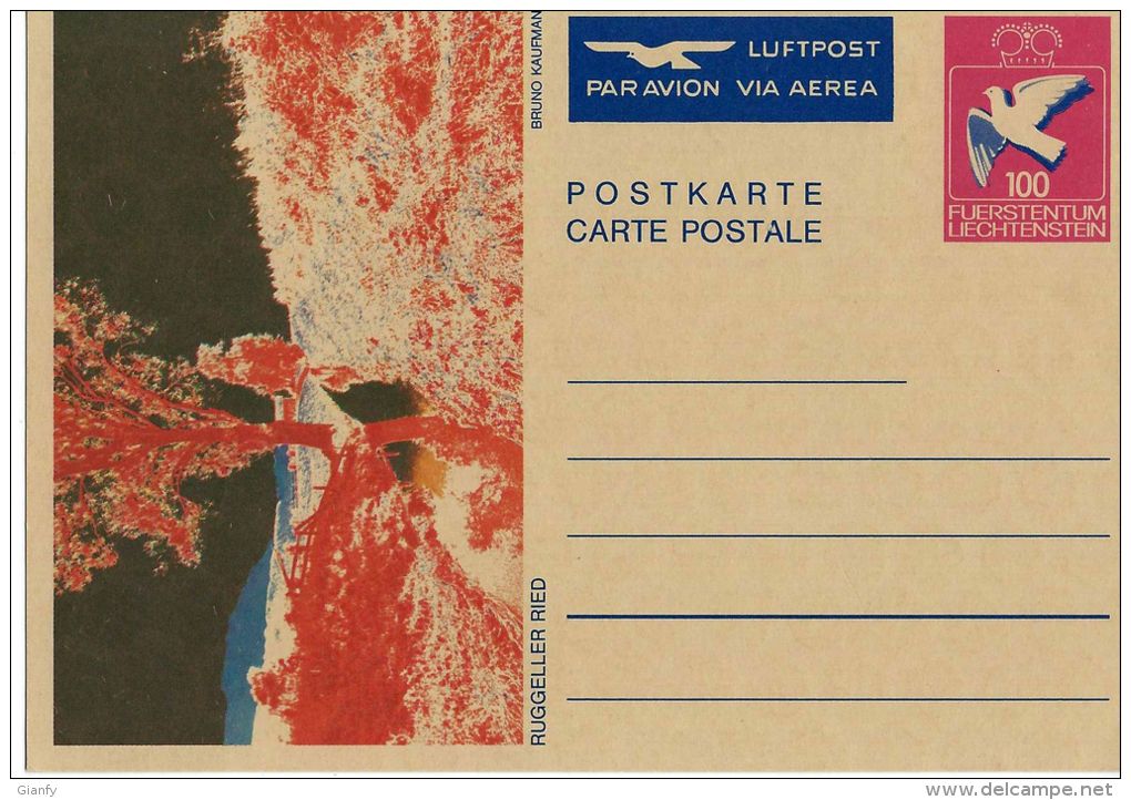 INTERO LIECHTENSTEIN 100 LUFTPOST AEREA AIR MAIL PAR AVION - Stamped Stationery