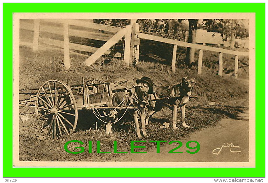 ATTELAGES DE CHIENS - A DOG CART A STE ANNE DE BEAUPRÉ, QUEBEC - LES ÉDITIONS D'ART JACKIE - - Attelages