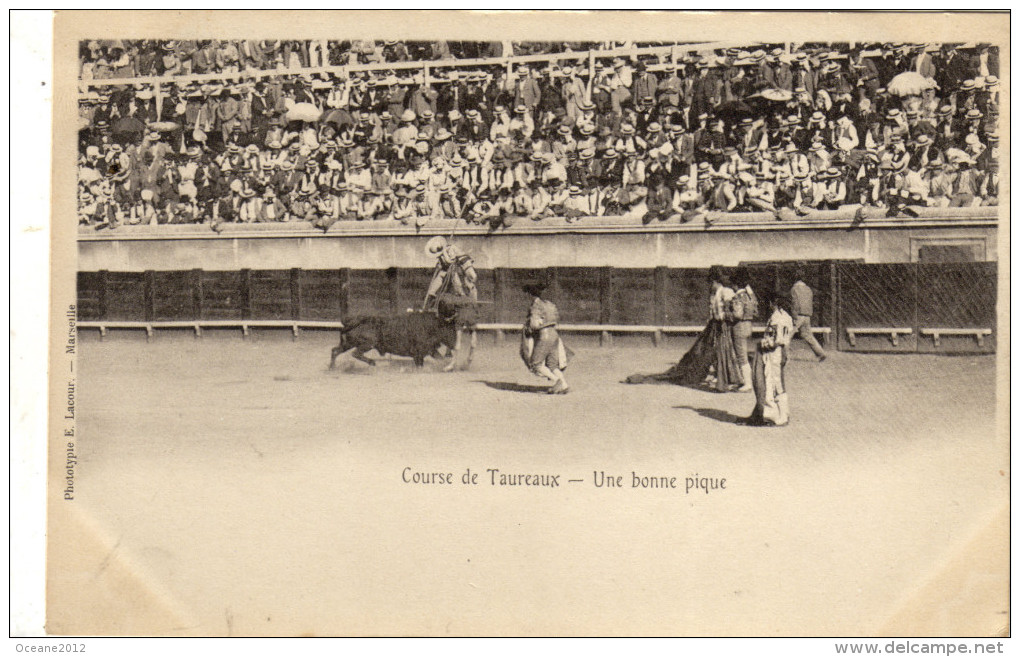 Course De Taureaux.Corrida. Serie Photo - Corrida