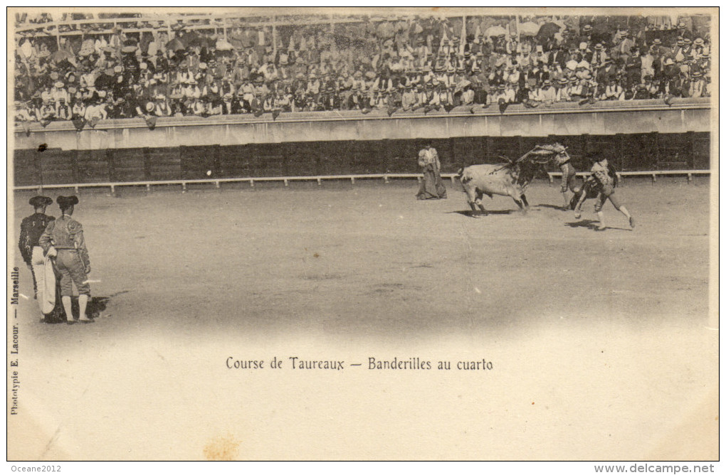 Course De Taureaux.Corrida. Serie Photo - Corrida