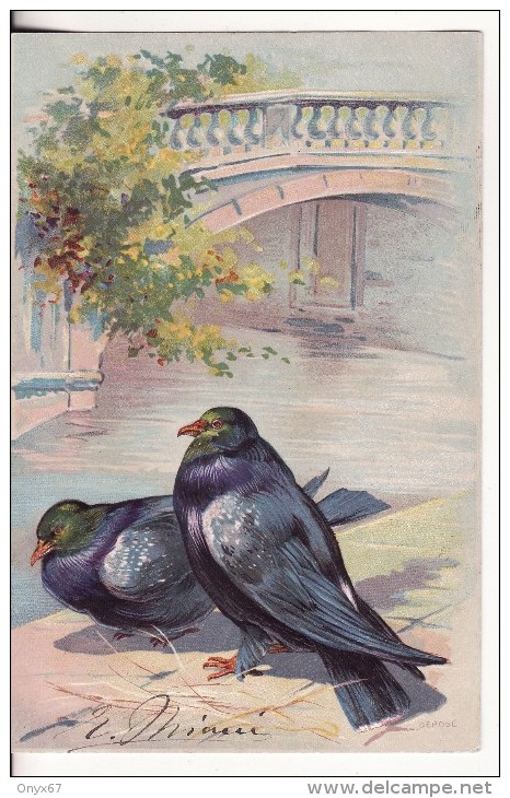 Carte Postale Fantaisie Gauffrée PIGEON - OISEAU - ANIMAUX - VOIR 2 SCANS - - Birds