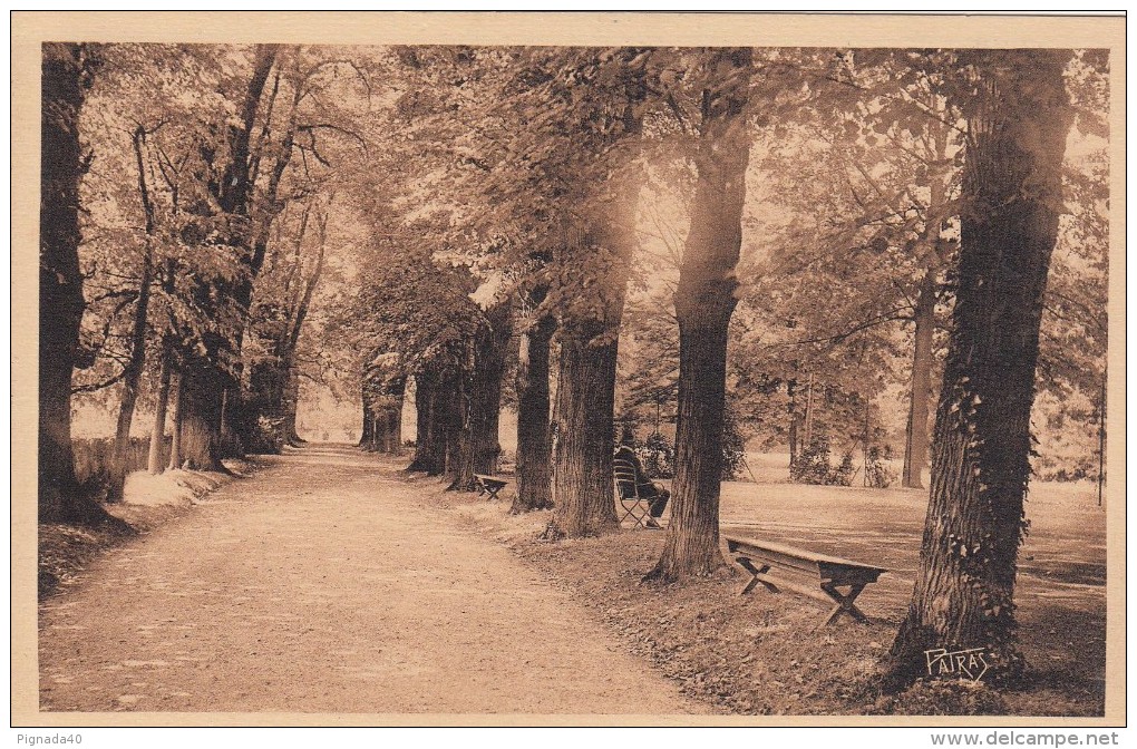 Cp , 78 , LOUVECIENNES , Château De Voisins , Allée Des Tilleuls Et Tennis - Louveciennes