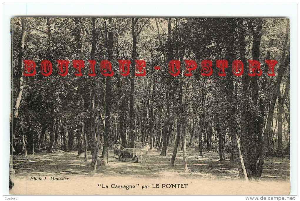84 - LE PONTET - VISUEL RARE < PARC De L'AUBERGNE " LA CASSAGNE " - DOS SCANNE - Le Pontet