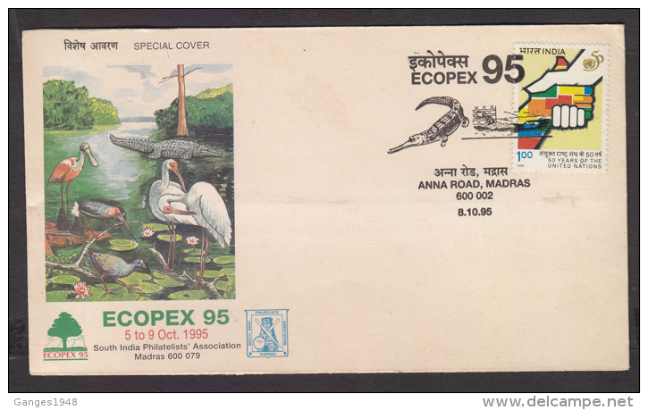 India  1995  Birds  Cranes  Windmill  Crocodil  Cancellation  MADRAS  Citibank  Special Cover   # 85730  Inde  Indien - Cranes And Other Gruiformes