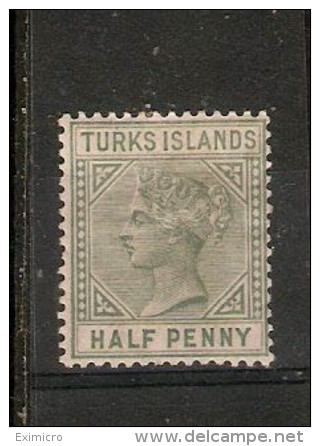 TURKS ISLANDS 1885 ½d Pale Green SG 53a MOUNTED MINT Cat £7 - Turcas Y Caicos