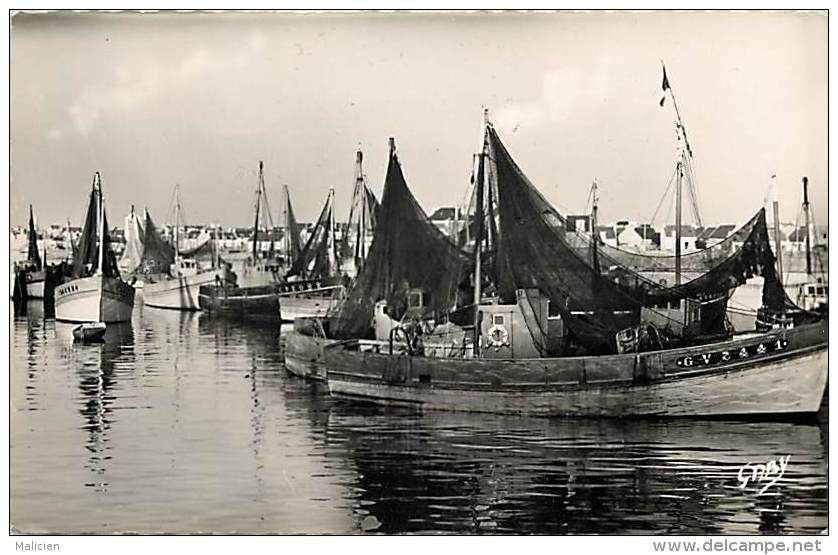 - Finistere - Ref- D122 - Guilvinec - Le Port  - Bateau Gv 2441 -  Carte Bon Etat - - Guilvinec