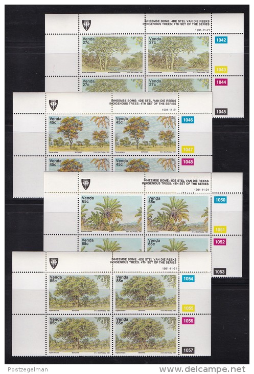 VENDA, 1991, MNH Controls Blocks Of 4, Indigenous Trees, M 229-232 - Venda