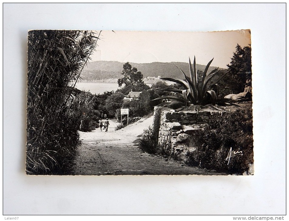 Carte Postale Ancienne : L'ILE DU LEVANT : Descente Vers Le Port, Animé, En 1957 - Autres & Non Classés