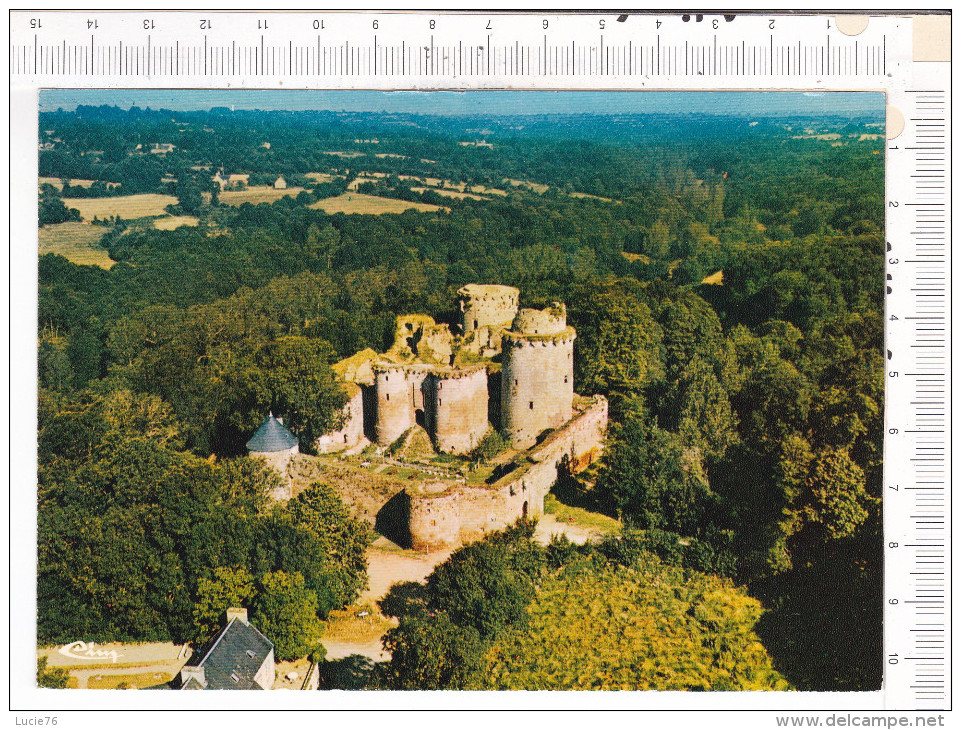 TONQUEDEC   -    Ruines   Du  Château - Tonquédec