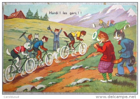 Cp Litho Illustrateur CHATS CHAT HUMANISE Course Velo Cyclisme Voiture Supporter BORD Route Ecrite 1941 - Animaux Habillés