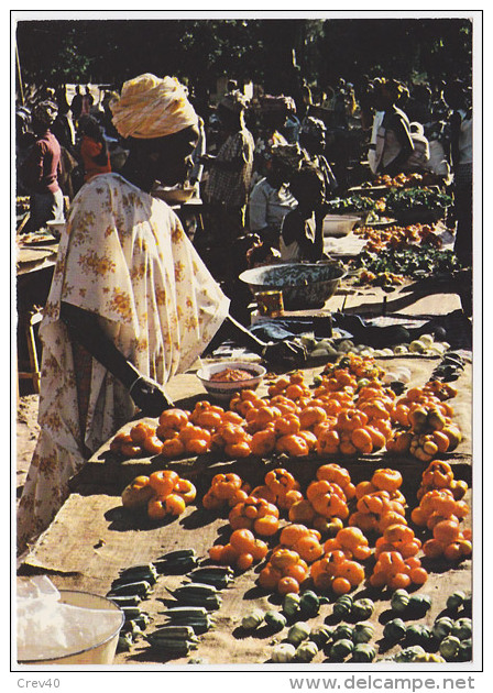 Carte Postale Moderne Afrique - La Marchande De Tomates - Venters