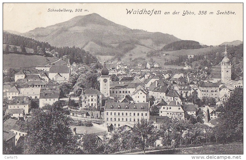 Autriche - Waidhofen  And Der Ybbs - Postmarked 1913 - Waidhofen An Der Ybbs