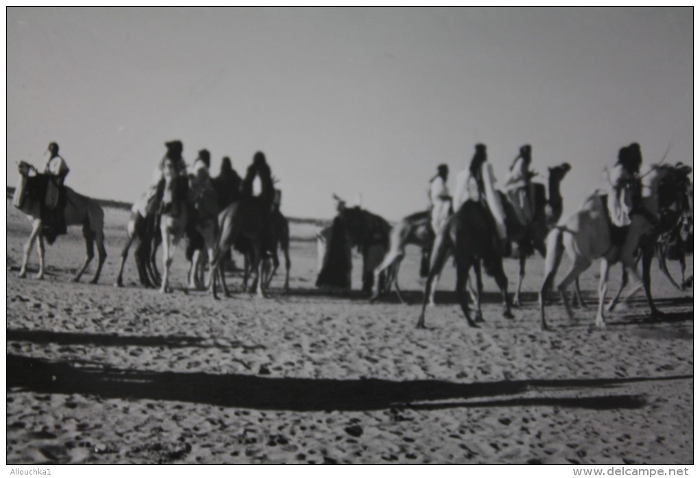 PHOTO GUERRE DALGERIE NOMADES ENTRE AOULEF & REGGANE->SAHARA ALGERIE EX COLONIE FRANCAISE 1961->ORIGINAL PHOtography RRR - War, Military