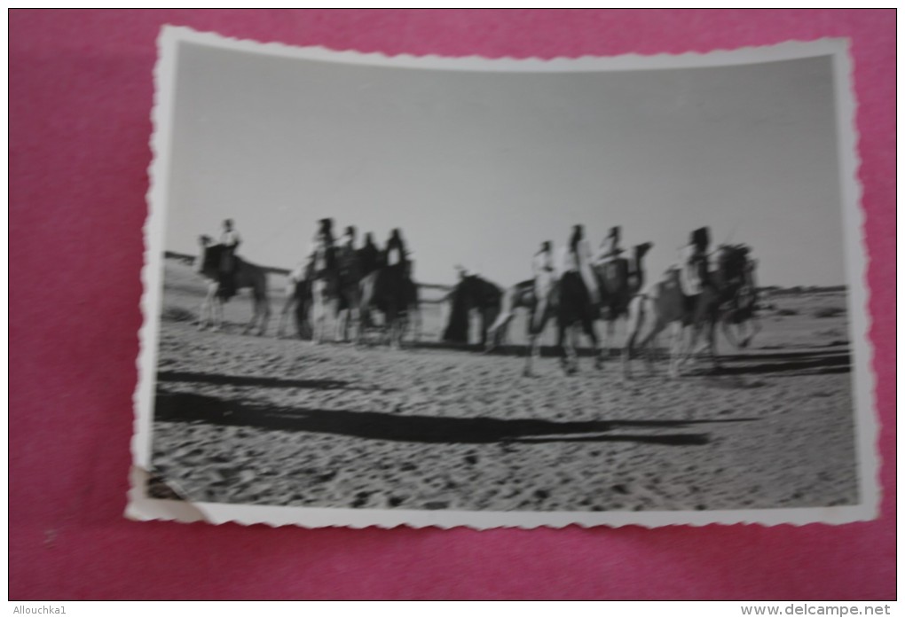 PHOTO GUERRE DALGERIE NOMADES ENTRE AOULEF & REGGANE->SAHARA ALGERIE EX COLONIE FRANCAISE 1961->ORIGINAL PHOtography RRR - War, Military