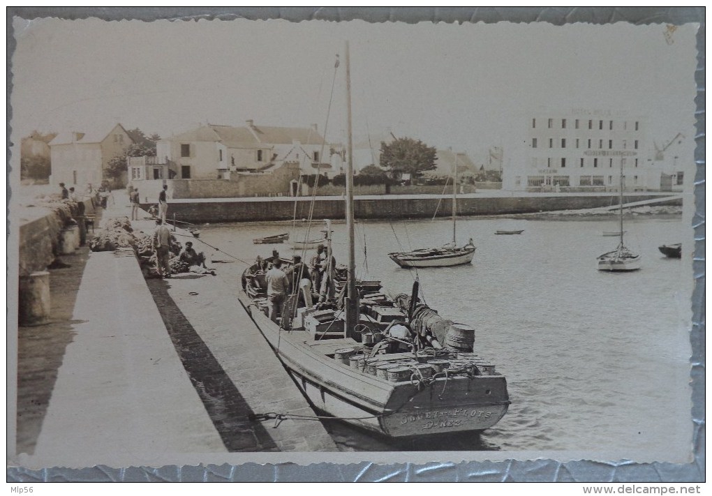 29 DOUARNENEZ CARTE PHOTO  BATEAU DES FLOTS DANS LE PORT - Douarnenez