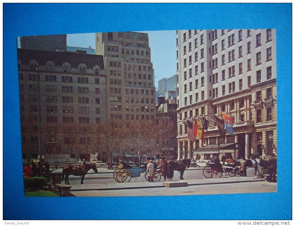 Cpsm  NEW YORK CITY  -  Hansom  Cab  - Central Park - Central Park