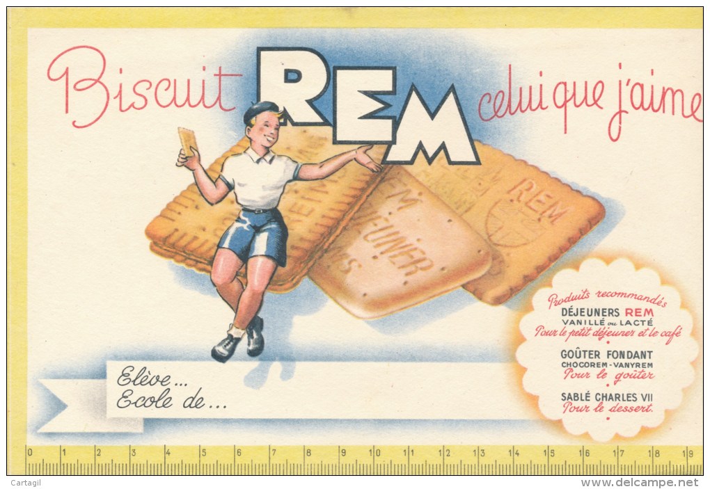 Buvard (format 135 X 210mm)  - B1746 - Biscuit REM - (non  Utilisé)-Envoi Gratuit Pour La France - B