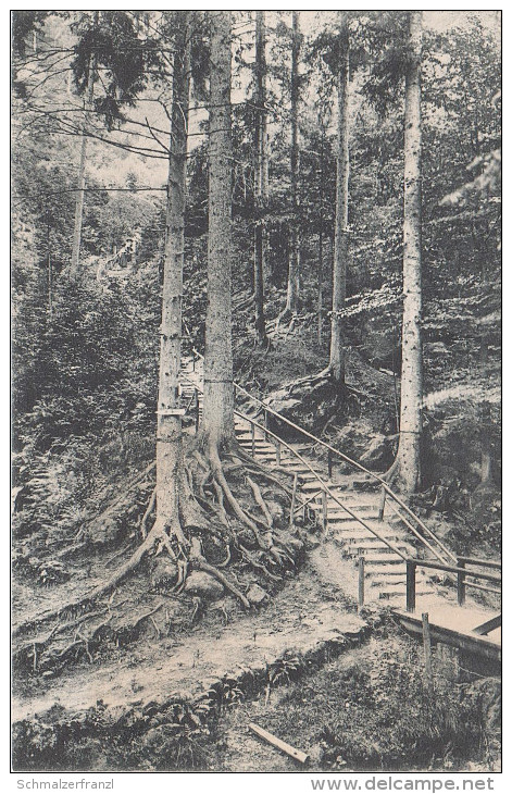 AK Sächsische Schweiz Schwedenlöcher Weg Bastei Bei Rathen Wehlen Rathewalde Uttewalde Hohnstein Lohmen Pirna Königstein - Bastei (sächs. Schweiz)