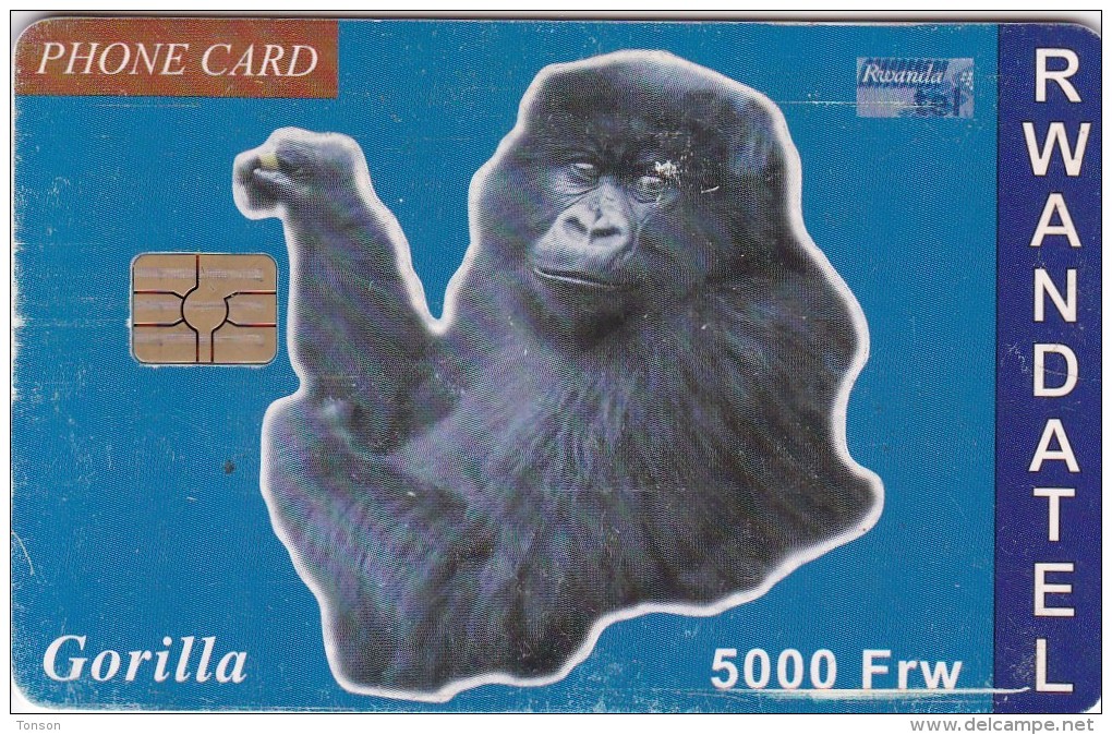 Rwanda, RWA-06, 5000 Frw, Gorilla, 2 Scans.  Please Read. - Rwanda