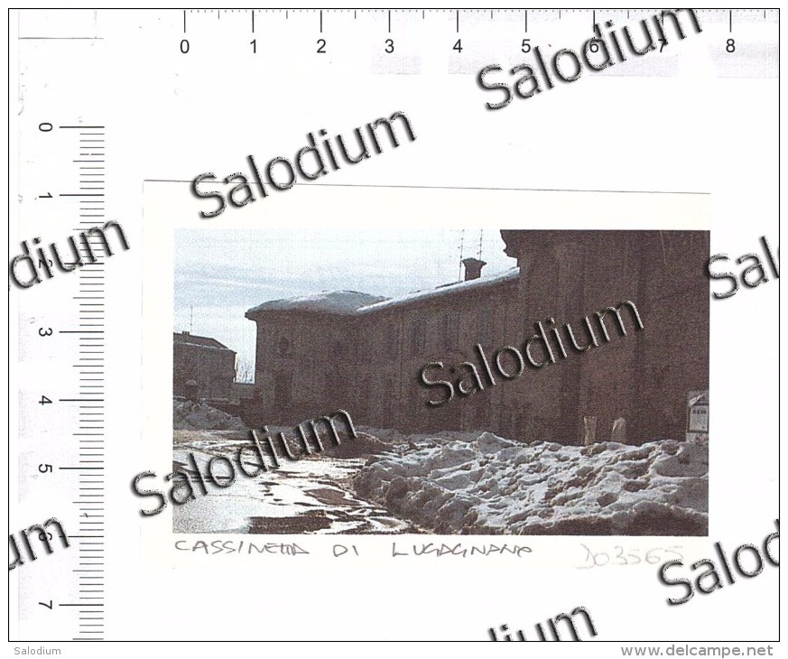 CASSINETTA DI LUGAGNANO - Immagine Ritagliata Da Pubblicazione CROPPED IMAGE - Autres & Non Classés