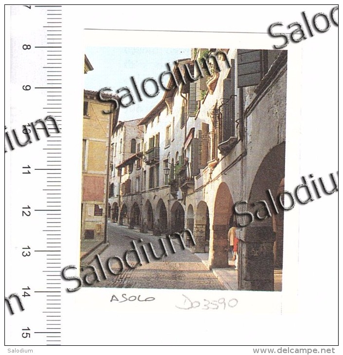 ASOLO - Immagine Ritagliata Da Pubblicazione CROPPED IMAGE - Autres & Non Classés