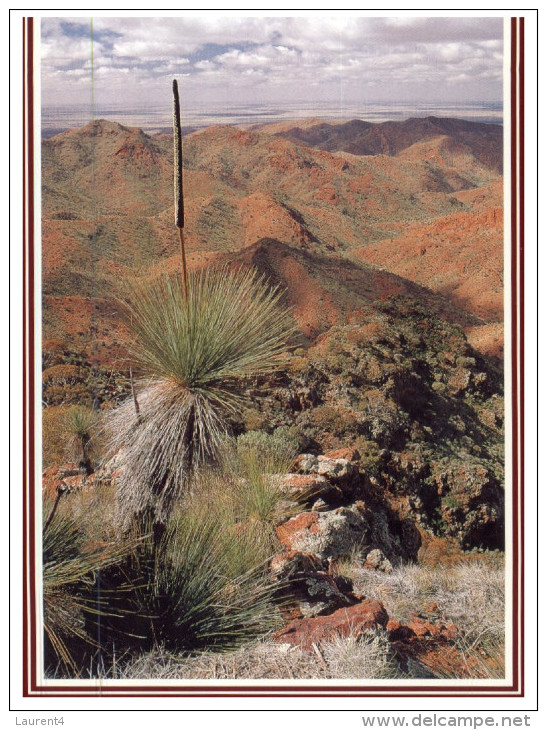 (PF 375) Australia  -  SA - Flinders Range - Flinders Ranges