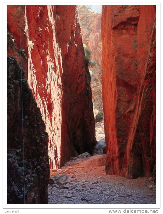 (PF 375) Australia  -  NT - Standley Chasm - The Red Centre