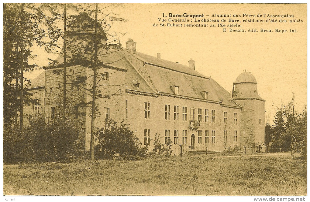 CP De BURE-GRUPONT " Alumnat Des Pères De L'assomption ; Vue Générale , Le Château De BURE " - Tellin